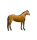 Pferdewetten
