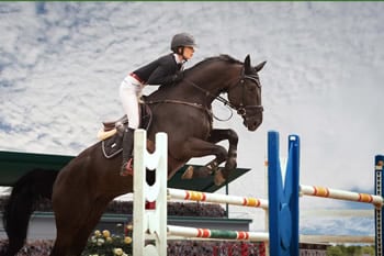 Was sind die FEI European Jumping Championship?