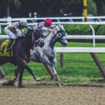 Vom besten Sportwetten Bonus profitieren